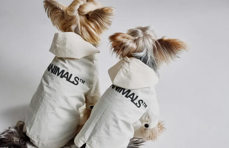 THEANIMALS