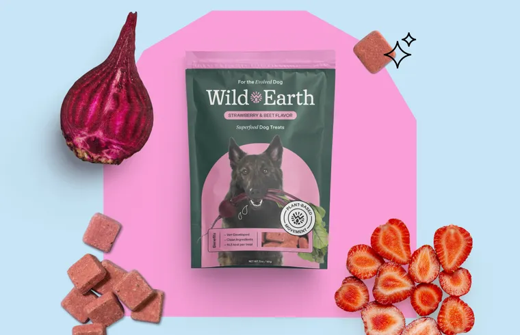 Wild Earth