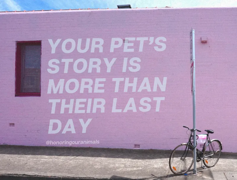 Your pet's story is more than their last day