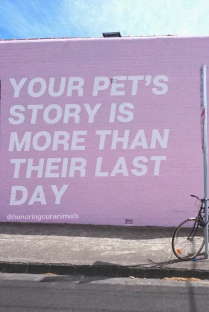 Pink wall with text: 'Your pet's story is more than their last day' to comfort dog parents experiencing pet loss.