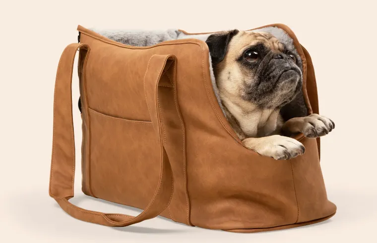 camel leather dog carrier - Dog Lovers Directory