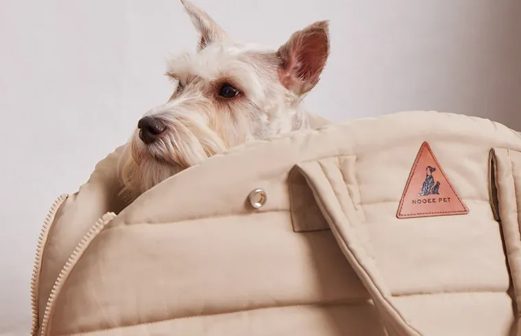 designer pet carriers by Modern Beast