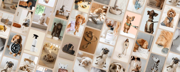 Dog-Lovers-Directory-_-Pretty-Fluffy