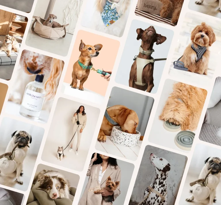 Pretty-Fluffy-_Dog-Lovers-Directory-Grid-300x277