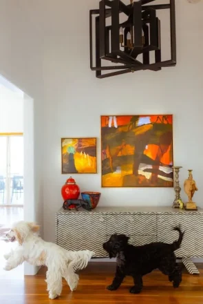 Two happy dogs playing inside a stylish room at a pet-friendly travel accommodation.