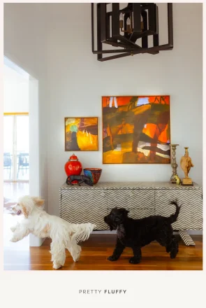 A fluffy white dog and black dog playing in a stylish entryway, showcasing chic pet-friendly living with dogs.