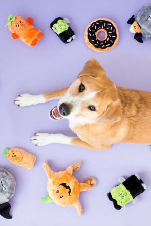 ZippyPaws Halloween Squeakie Buddies