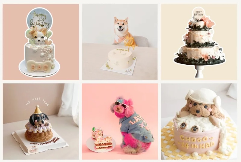 Adorable dog cake design ideas featuring custom puppy-shaped cakes, tiered floral designs, and dogs celebrating birthdays.