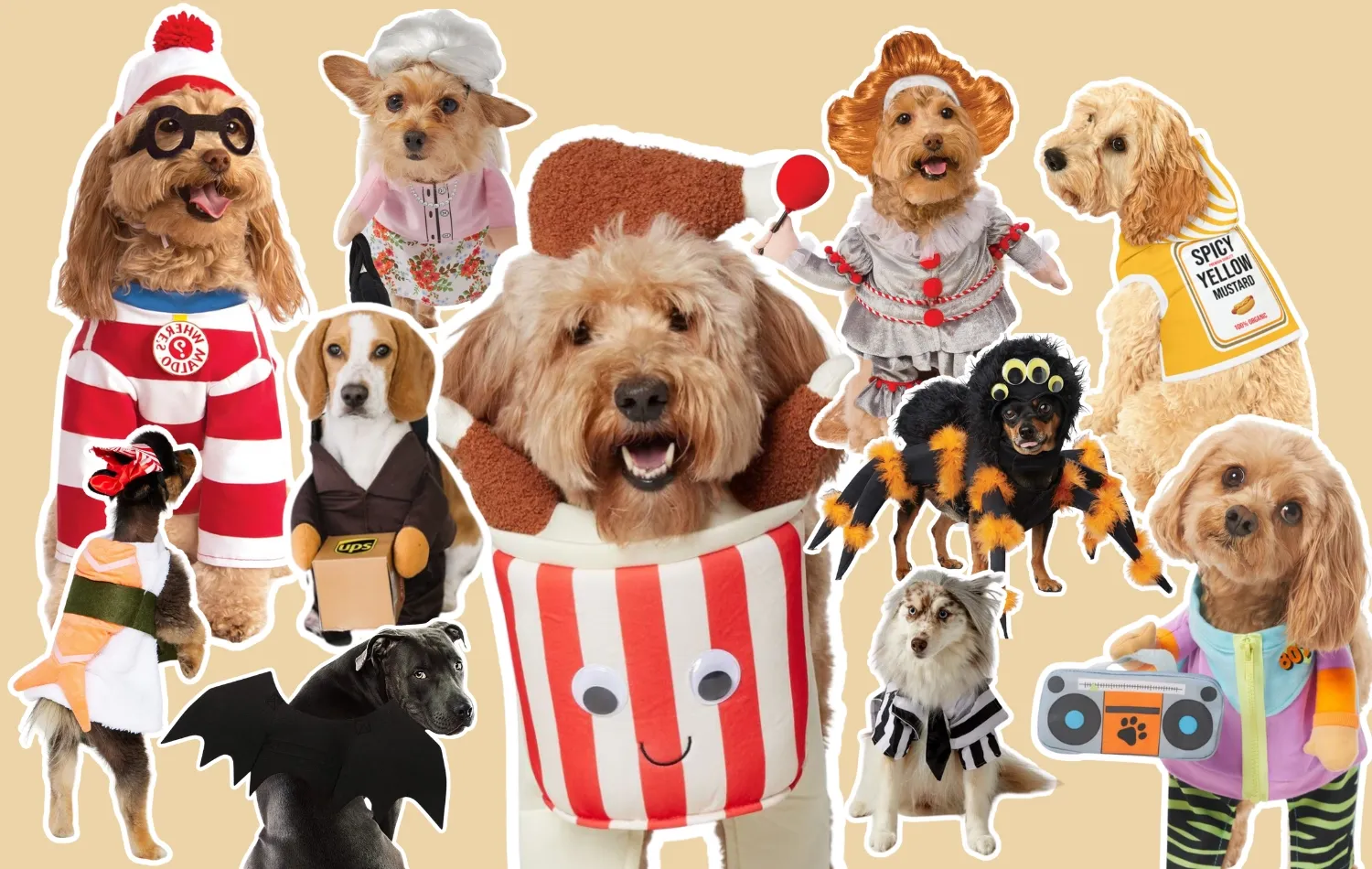 Collage of creative dog Halloween costumes including Waldo, a UPS driver, spider, bat wings, and bucket of chicken.