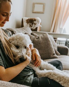 The Perks of In-Home Pet Sitting: A Pet Staycation