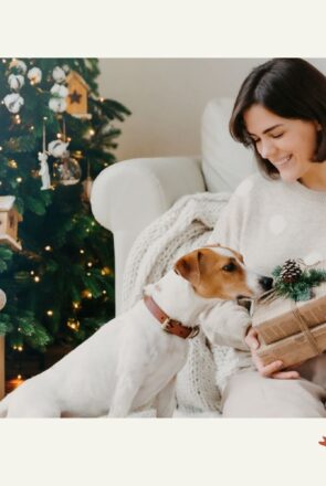 Woman holding Christmas gifts next to her Jack Russell Terrier by a decorated tree; holiday ideas for dog lovers.