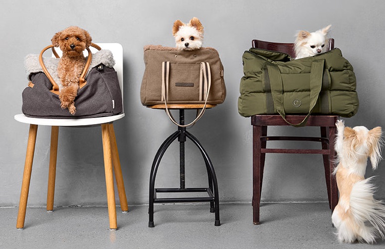 Dog Carrier by Cloud7