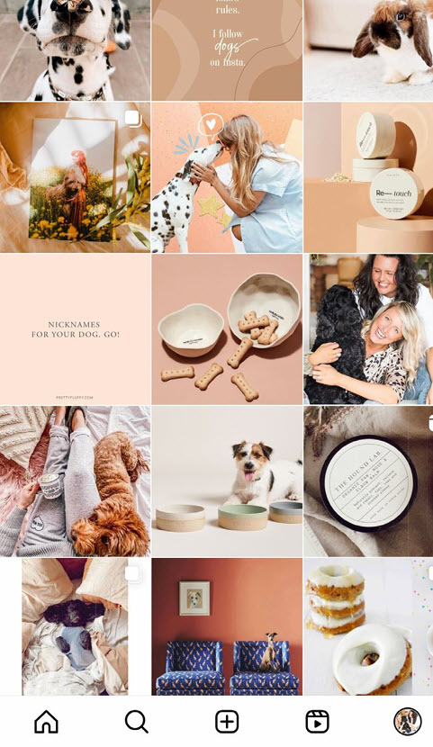 Instagram grid of lifestyle pet photography and dog products showcasing Pretty Fluffy's brand partnership capabilities.