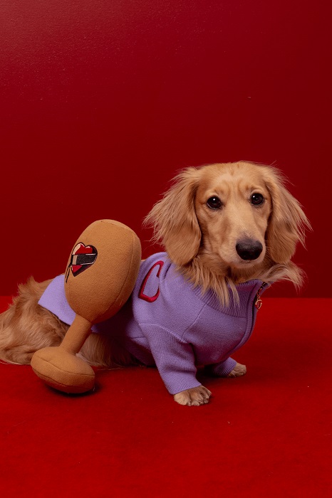Shop Dog Lovers Directory-Dog Toys-Maxbone