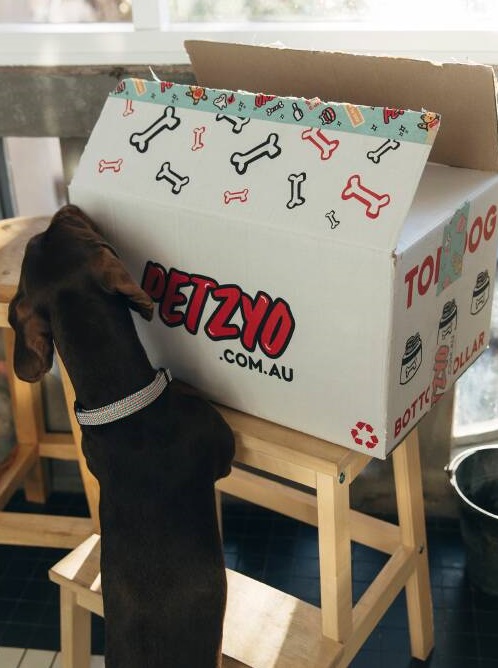 Dog Subscription Boxes Australia - Petzyo Dog Subscription Box - Dog Lovers Directory