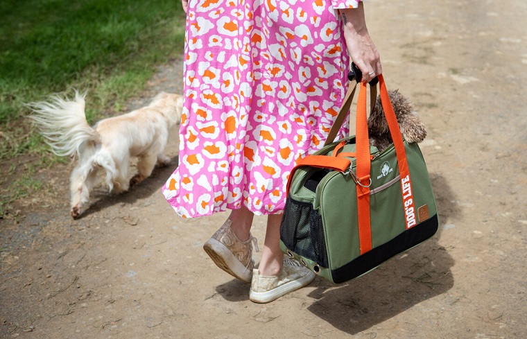 Dog Travel bag on This Dogs Life Shop