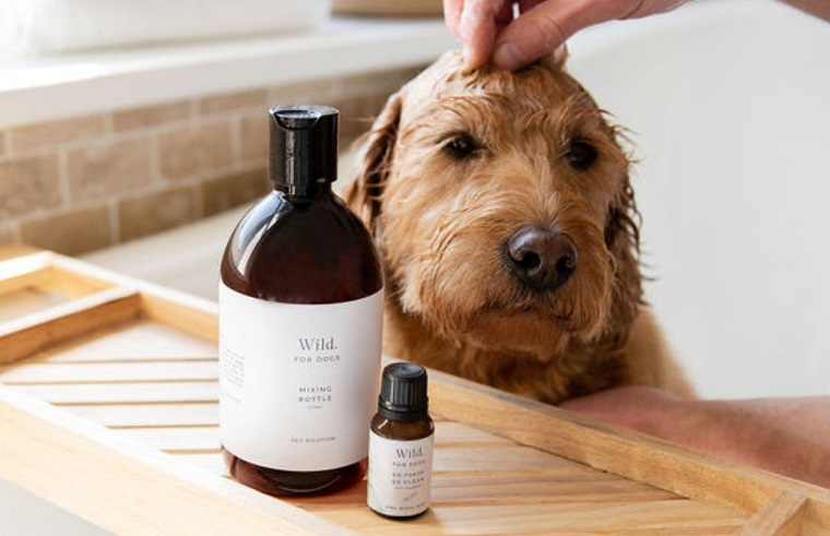 Shop Dog Lovers Directory- Dog Grooming - The Organic Dog Co
