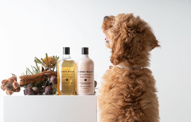 Shop Dog Lovers Directory- Dog Grooming - Bondi Wash