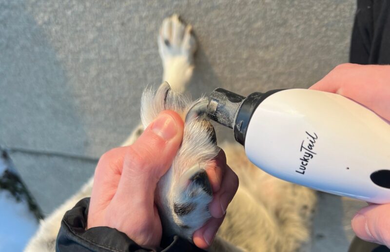 LuckyTail Nail Grinder For Dogs | Grooming | Pretty Fluffy Dog Lovers Directory