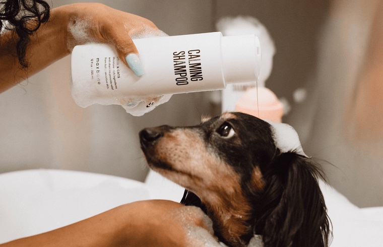 Shop Dog Lovers Directory- Dog Grooming - Maxbone
