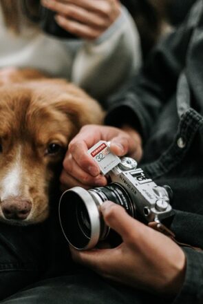 Discover how to turn your love for dogs into a career as a pet lifestyle influencer. Learn how to create authentic content, grow your audience, and monetize your passion.