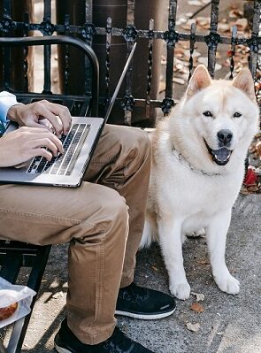 The Rise of Pet-Friendly Campuses: Why Students Love Studying with Their Pets