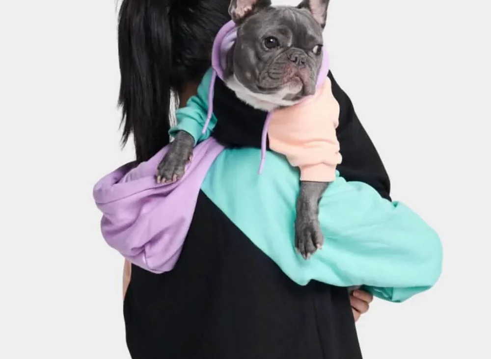 How Dog Clothing Brands Are Merging Comfort with Style