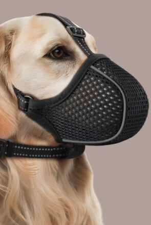 Best Dog Muzzles for Every Snout and Situation