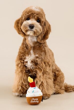 Gifts for Dogs and Dog Lovers