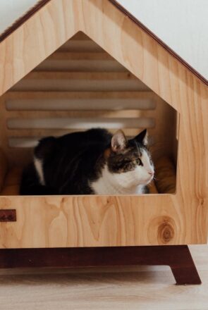 Make a Pet House