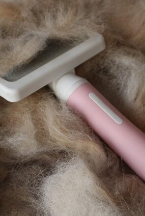 10 Best Pet Hair Remover Tools