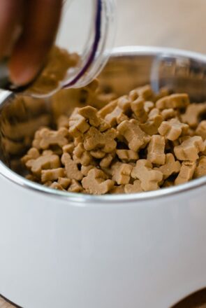 best dog treats