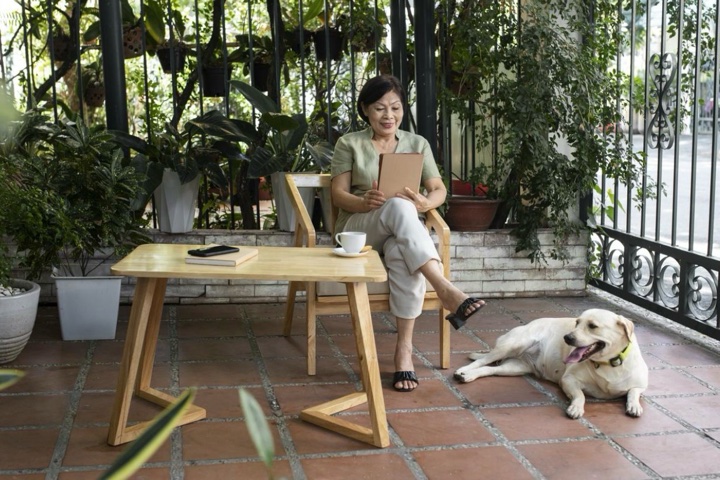Pet Friendly Artificial Plants for Your Garden That Are Safe for Pets