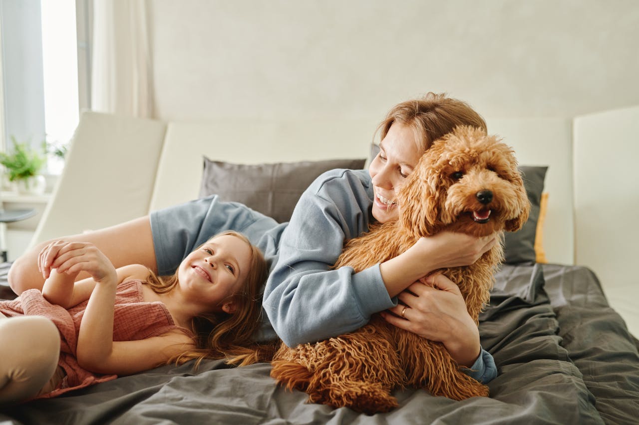 Mother and daughter cuddling a fluffy brown Goldendoodle on a bed, showcasing a friendly and popular family dog breed.