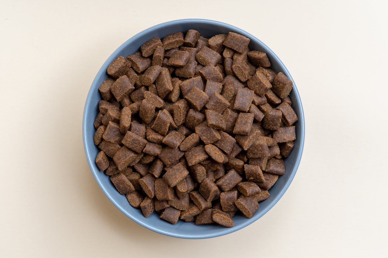 Blue bowl filled with premium dry dog food kibble, perfect for all life stages and dog sizes.