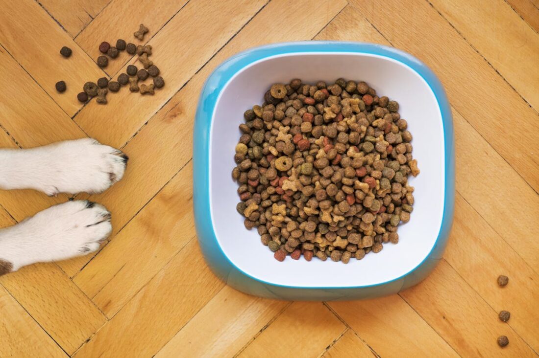 Best Dog Food for Picky Eaters in 2026