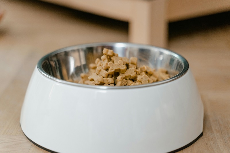 10 Best Dog Foods for Dogs With Allergies