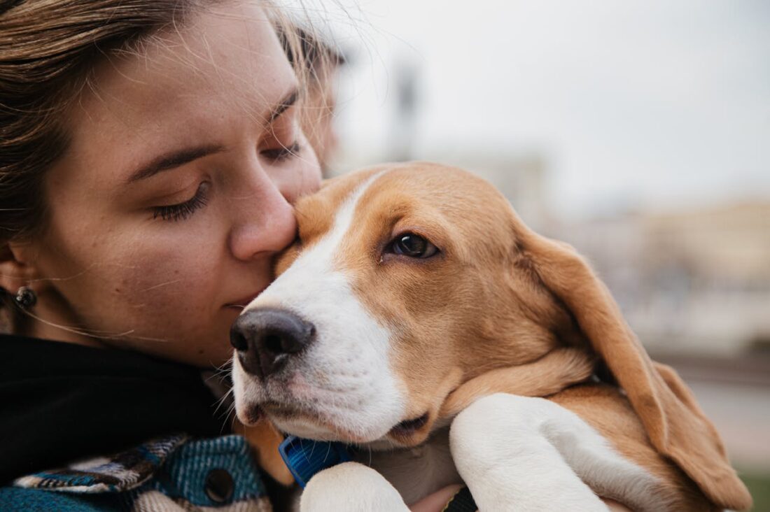 Best Playful Dog Breed for Kids - Beagle