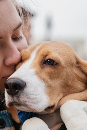 Best Playful Dog Breed for Kids - Beagle