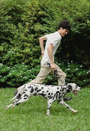 A man enjoys running with his Dalmatian dog on a green lawn in a sunny park. active person best dog