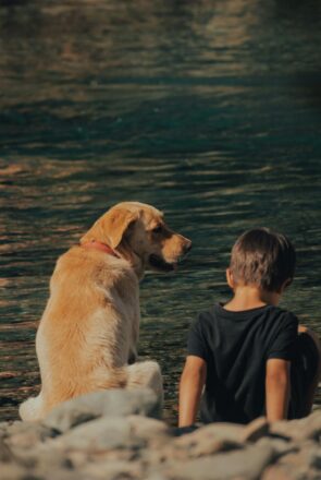 Golden retriever and a young boy sit by the water, enjoying outdoor travel and a pet-friendly lifestyle.