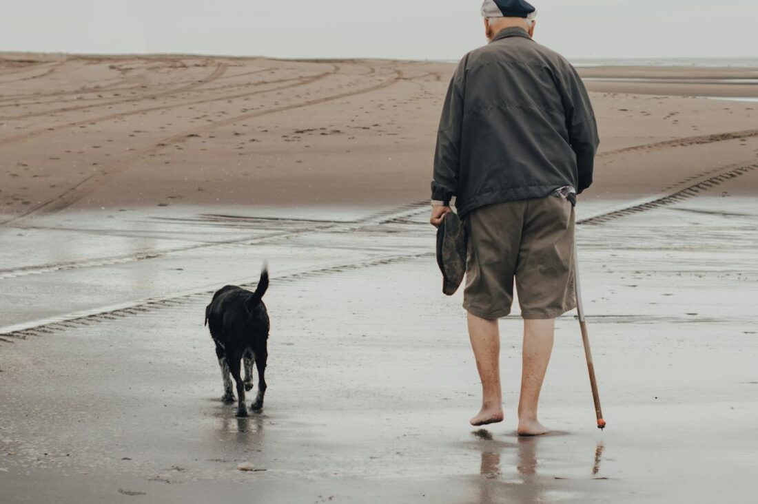 best dog breeds for seniors