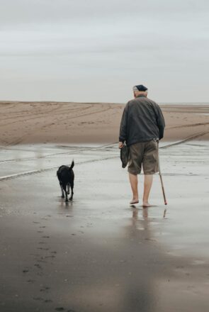 best dog breeds for seniors