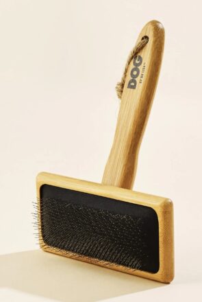 Best Dog Brushes: Our 10 Favorite Picks - dog by dr lisa