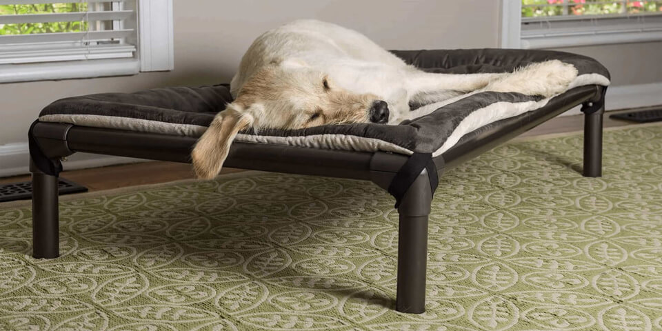 Kuranda Chewproof Elevated Dog Bed