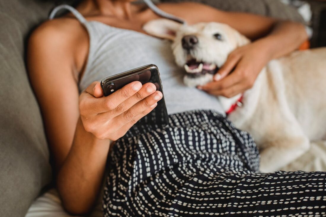 The 7 Best Online Vet Chat Services for Fast, Reliable Pet Advice in 2026