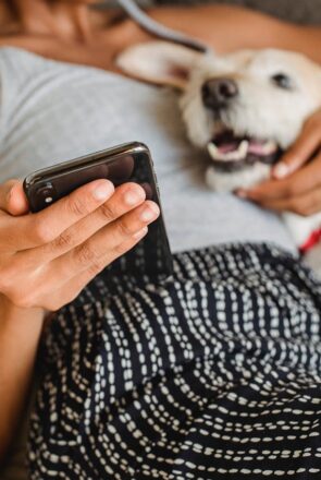 The 7 Best Online Vet Chat Services for Fast, Reliable Pet Advice in 2026