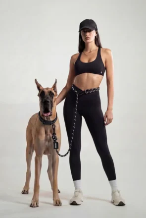 Hands-Free Dog Leashes: What Active Dog Owners Actually Need