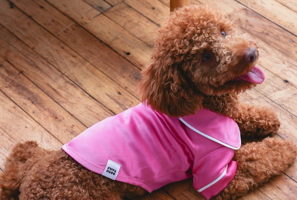 Both Tails Dog Pajamas - best dog pajamas