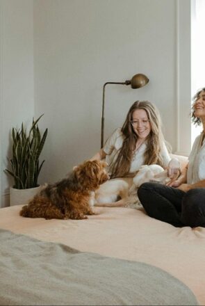 The Small Changes Pet Parents Apply That Make Busy Mornings Feel Less Rushed